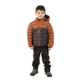 Dunkel Grau - Front - Trespass Kinder Steppjacke Oskar