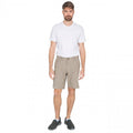 Grau kariert - Back - Trespass Herren Reise-Shorts Miner