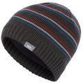 Dunkelgrau - Side - Trespass Herren Beanie Ray