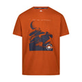 Dunkel Orange - Front - Trespass - "Sagnay" T-Shirt für Herren