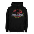 Schwarz - Front - Jurassic Park - Kapuzenpullover für Herren