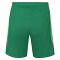 Fröhlich Grün-Pink - Back - Umbro - Torwartshorts für Herren