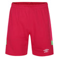 Helle Rose-Anden Tukan - Front - Umbro - Torwartshorts für Herren