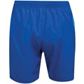 Königsblau-Graublau-Weiß - Back - Umbro - Shorts für Herren - Training
